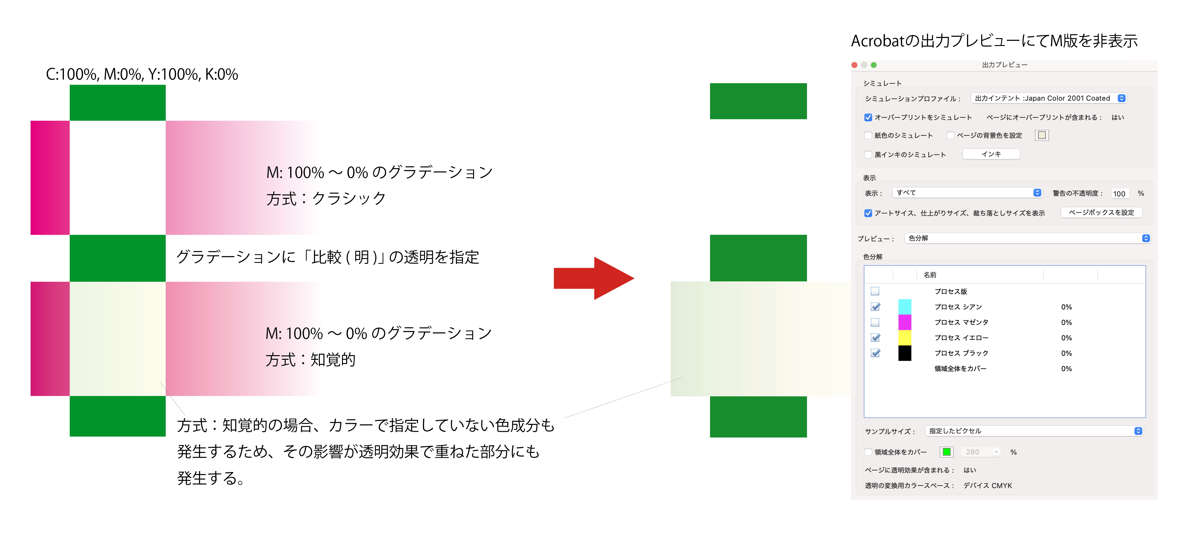 Illustrator_Transparent_edit.png